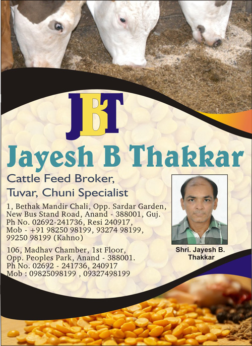 Jayesh B Thakkar