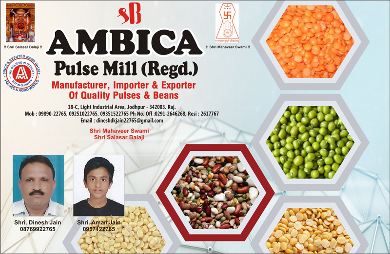 Ambica Pulse Mill