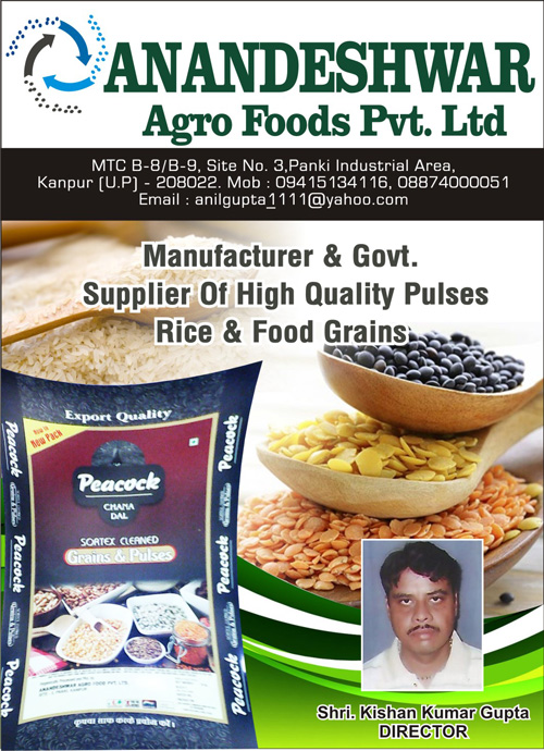 Anandeshwar Agro Foods Pvt. Ltd