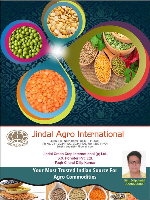 Jindal Agro International