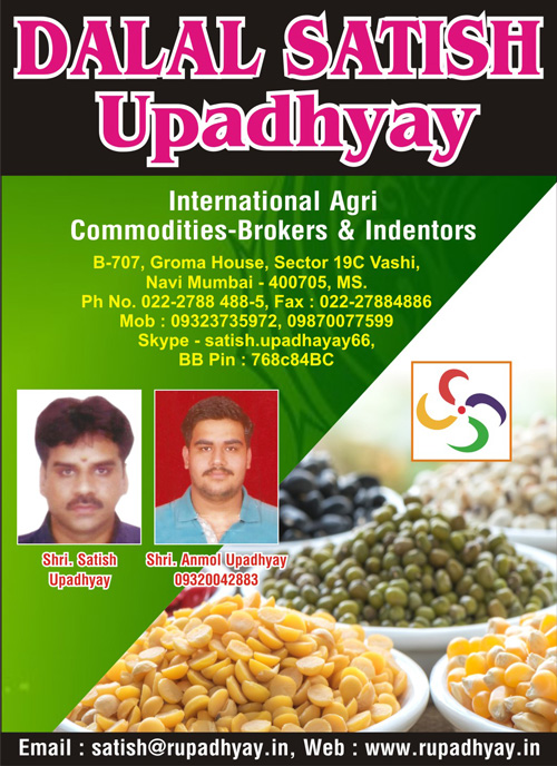 Dalal Satish Damodar Upadhyay