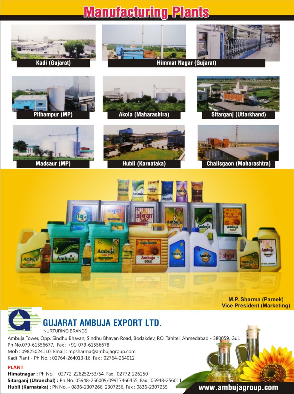 Gujarat Ambuja Export Ltd.