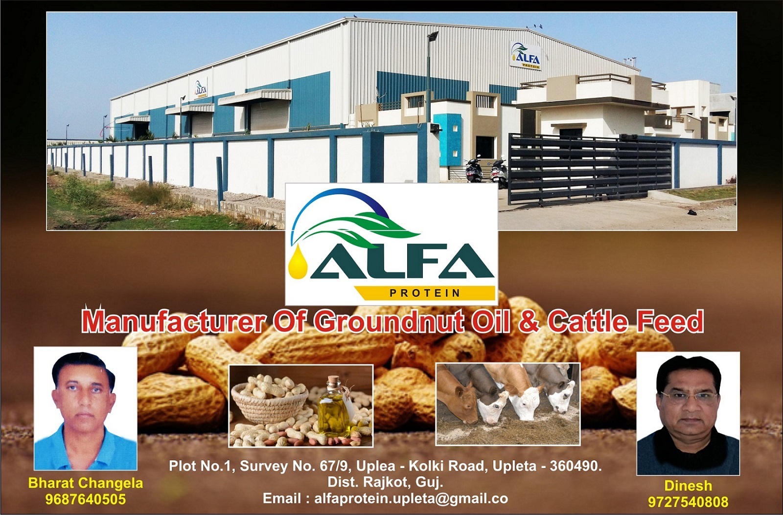 Alfa Protein - Manufacturer Of Groundnut Oil And Cattle Feed