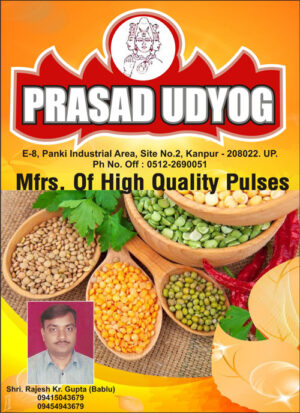 Prasad Udyog