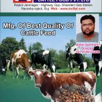 Mayank Cattle Food Pvt Ltd