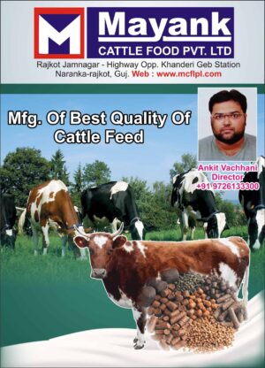 Mayank Cattle Food Pvt Ltd