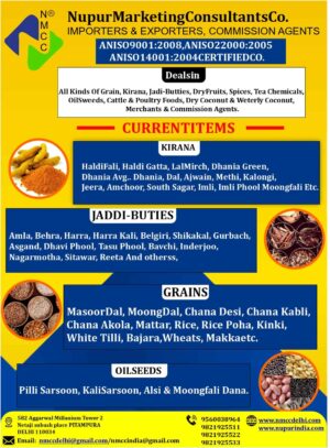 Nupur Marketing Consultants Co.