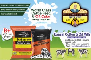 Bansal Cotton & Oil Mills