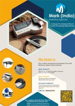 Mark India Marketing Agencies