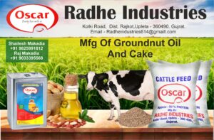 Radhe Industries