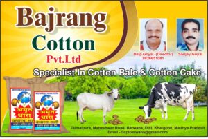 Bajrang Cotton Pvt Ltd