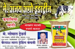 Ajay Agro Industries