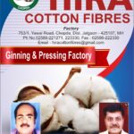 Hira Cotton Fibres